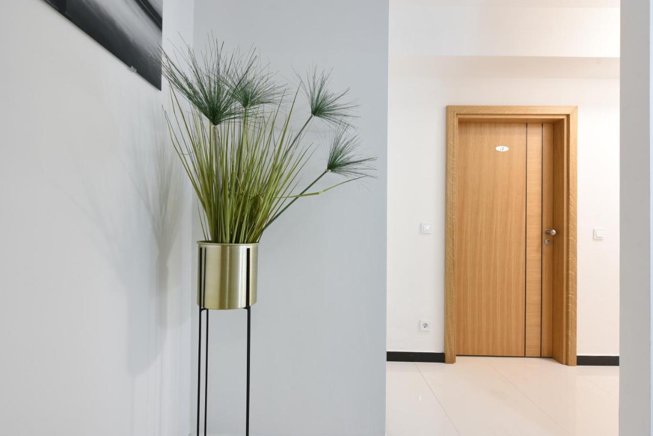 Apartments Lecija 扎达尔 外观 照片